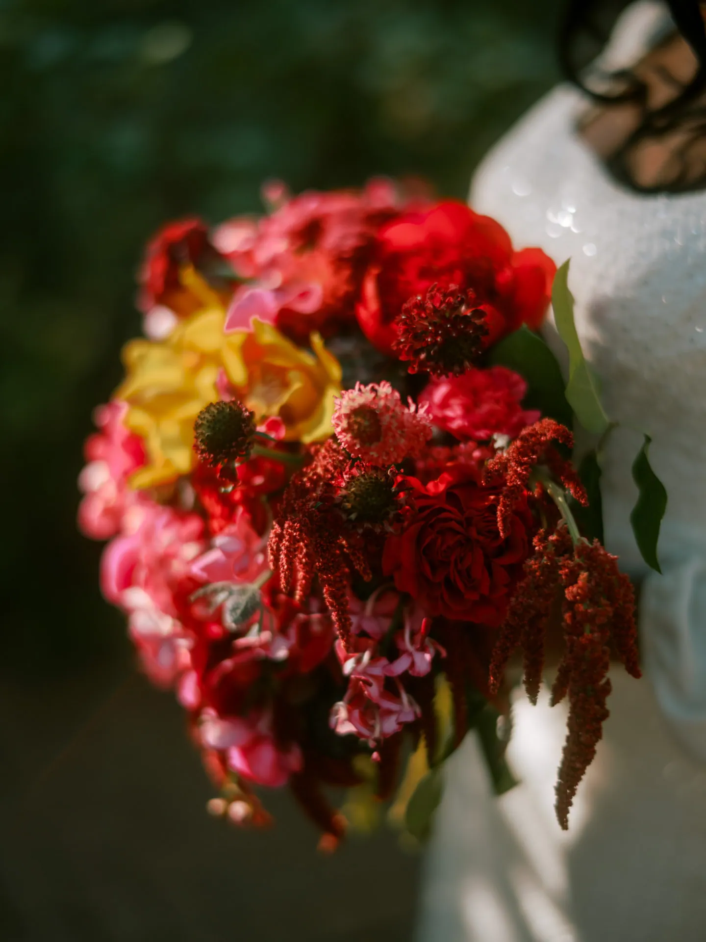 Close-up of a red and pink bridal bouquet in warm light